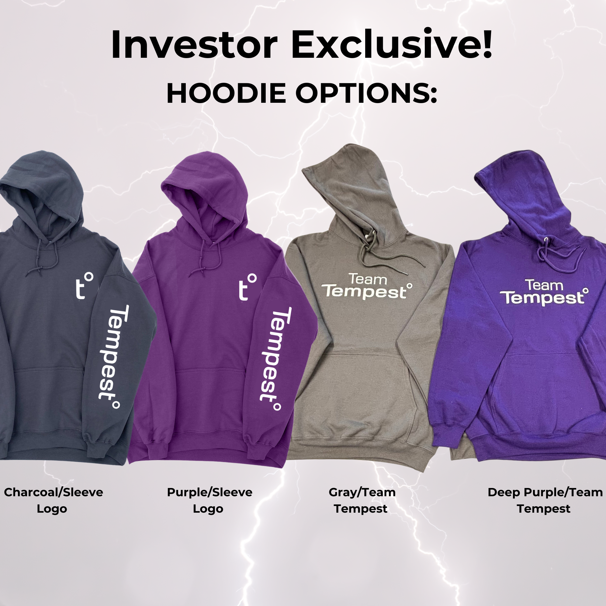 Investors Hoodie